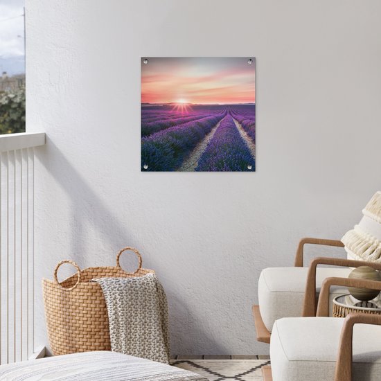 Tuinposter - Lavendel - Bloemen - Paars - Tuin - 50x50 cm - Tuinschilderij - Schuttingdoek - Tuindecoratie