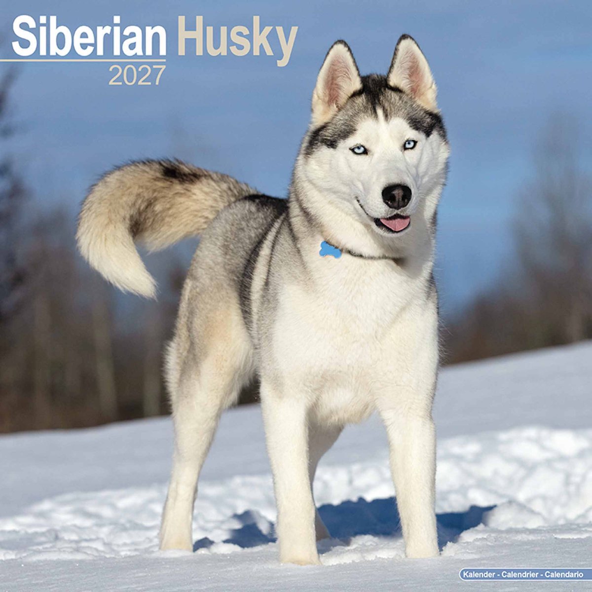 Siberian Husky Kalender 2027