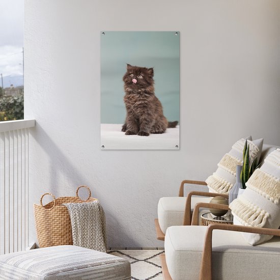 Posters de jardin Chaton persan tirant la langue - 60x90 cm