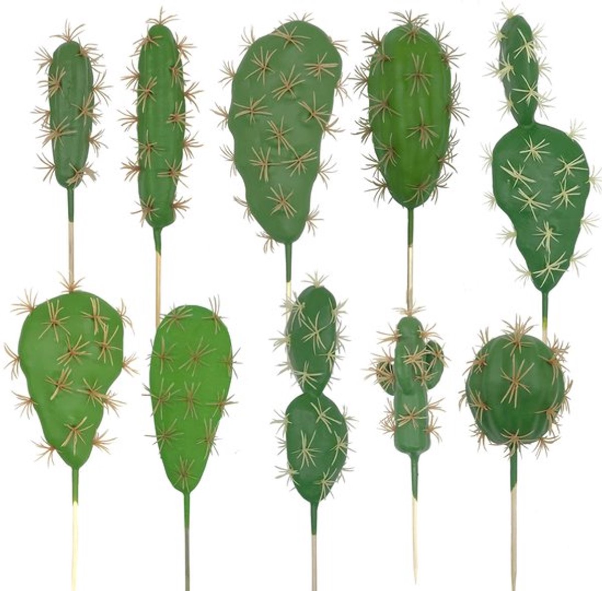 Allecto - Kunstmatige Cactus - Nep Vetplanten - Decoratieve Faux