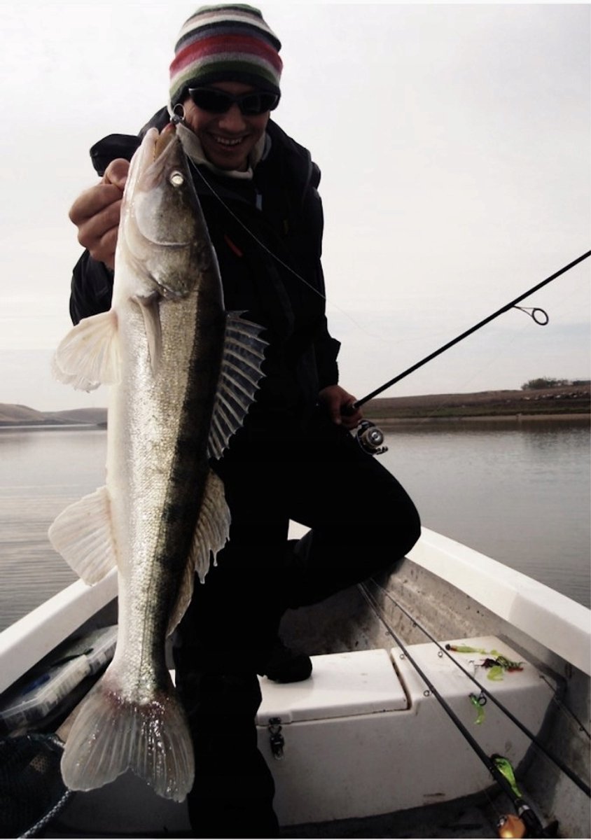 Savage Gear Cannibal Shad 12,5 cm - Snoekbaars- en snoekaas