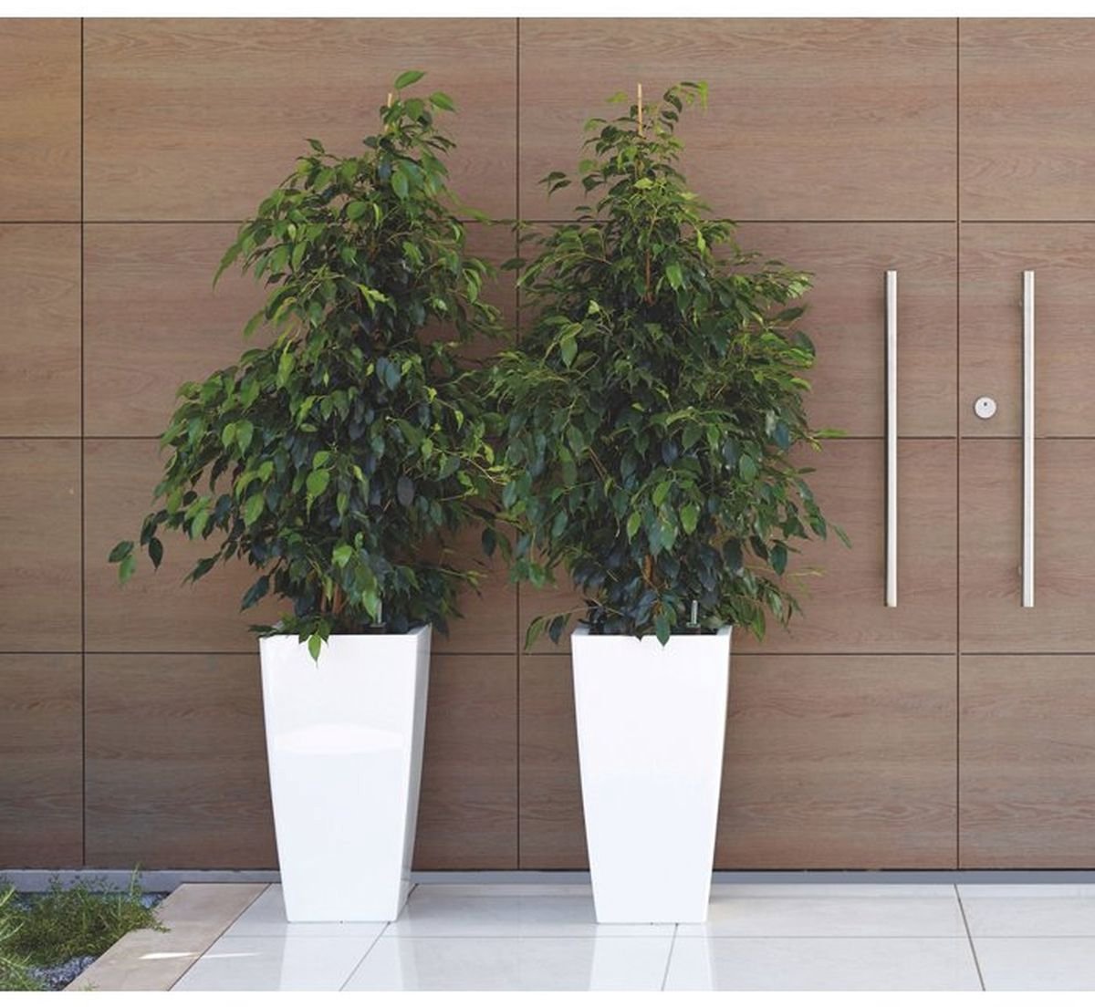 ARTEVASI – Pisa SWS – Bloempot – Wit – Zelfwaterend – 40x40