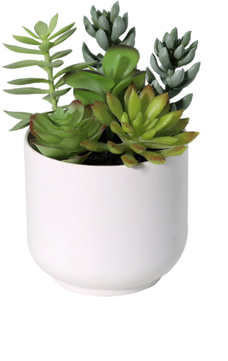 Trendyplants - Kunst Succulent Including White Pot - Vetplant - Kunstplant - Hoogte 19cm - Potmaat Ø13cm