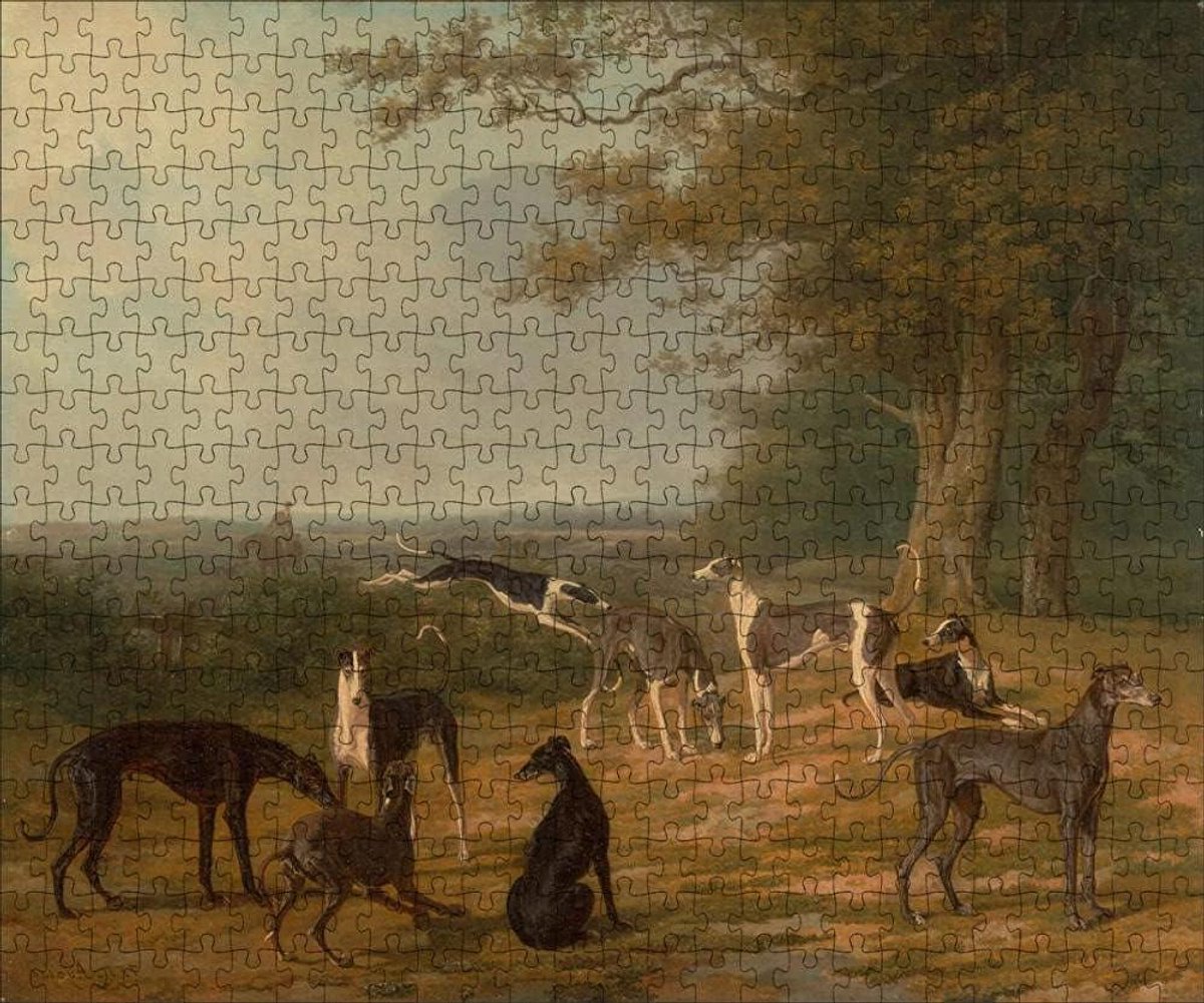 Houten Puzzel - 1000 Stukjes - Ontspanning Thuis - Precisie Gesneden - 75x50cm - Gekleurd