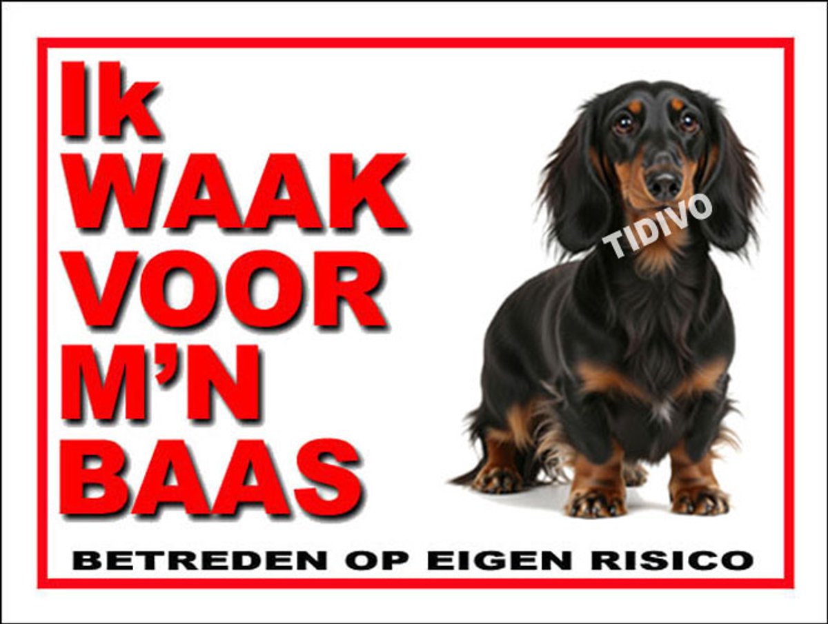 Dashond, Langhaar 9