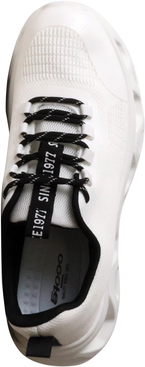 Lage sneakers met veters 51000