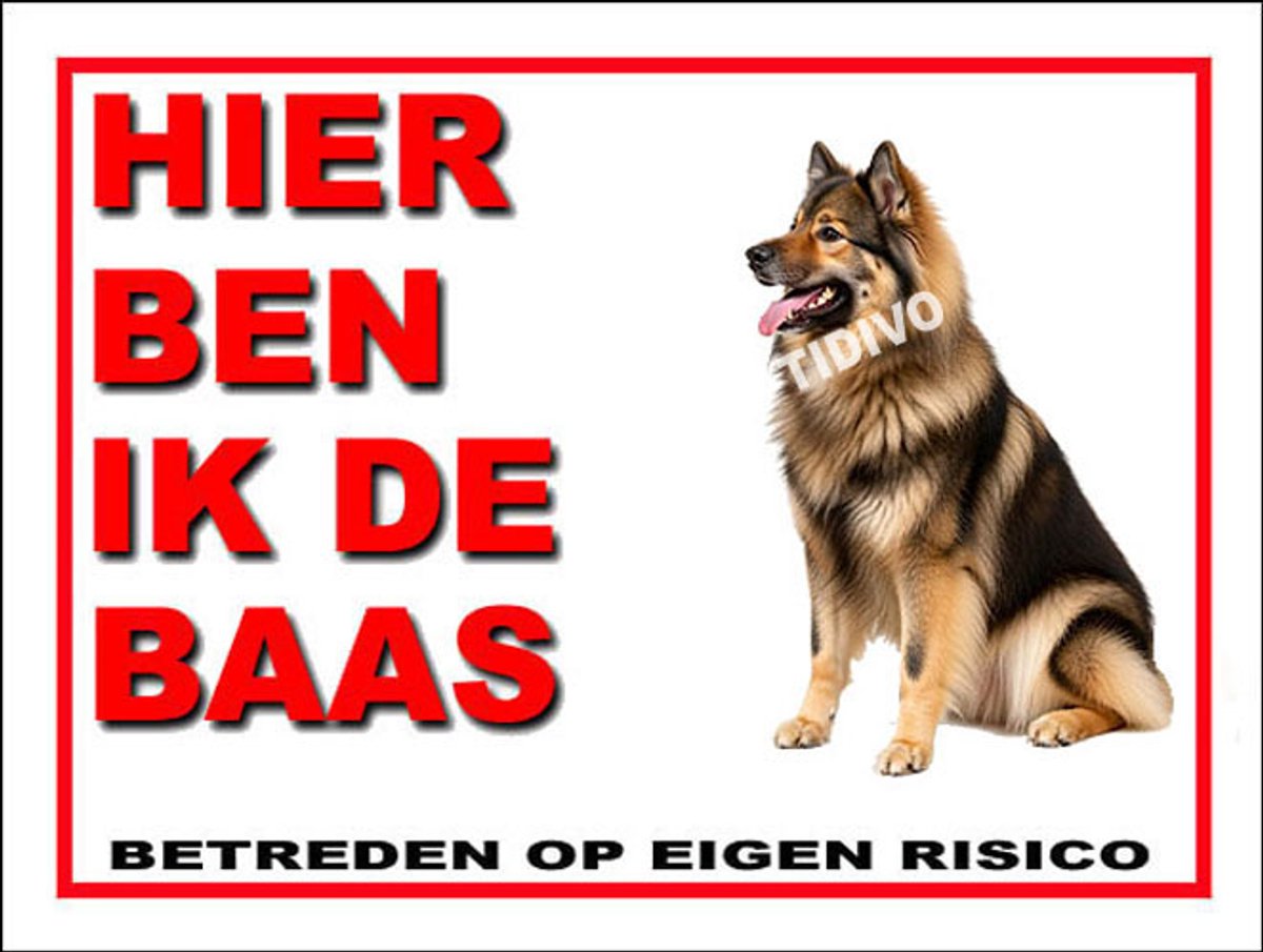 Eurasier 2
