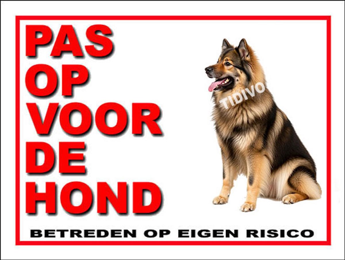 Eurasier 13