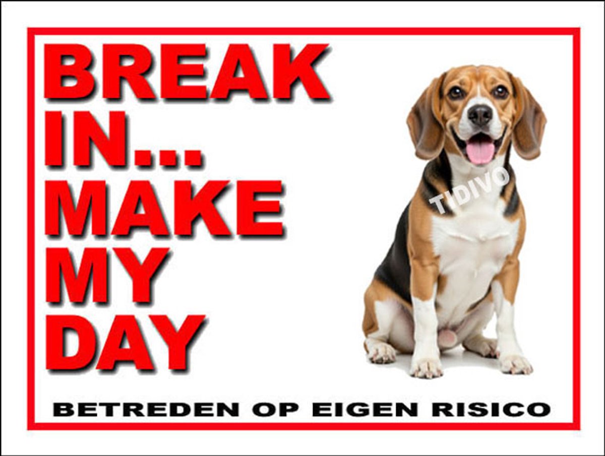 Finse Brak 1