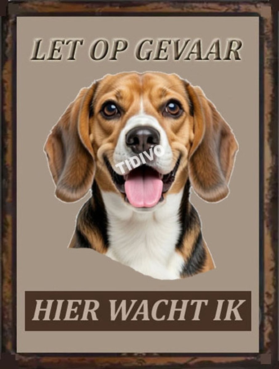 Finse Brak 18