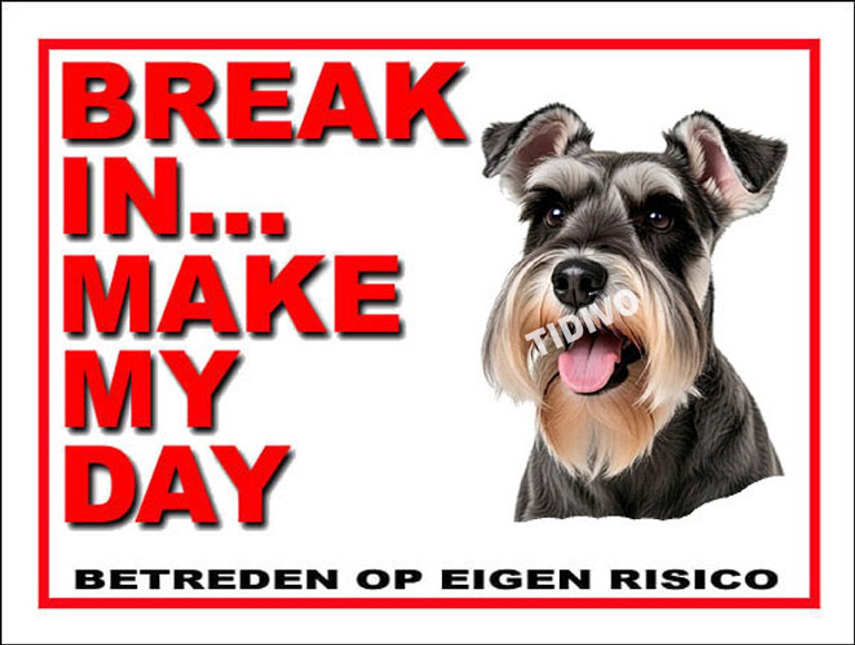 Dwergschnauzer 1