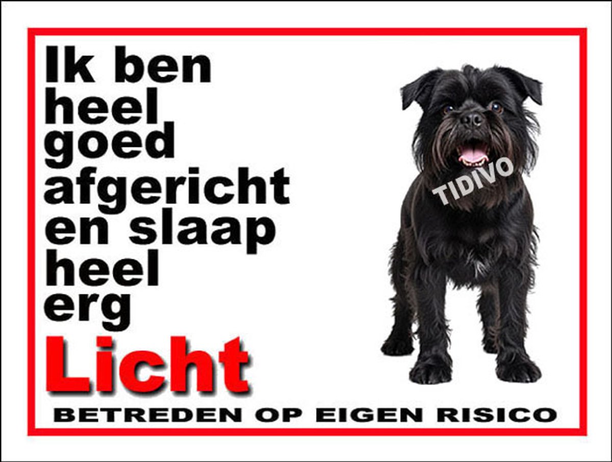 Griffon Belge 4