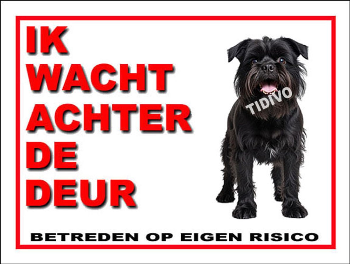 Griffon Belge 10