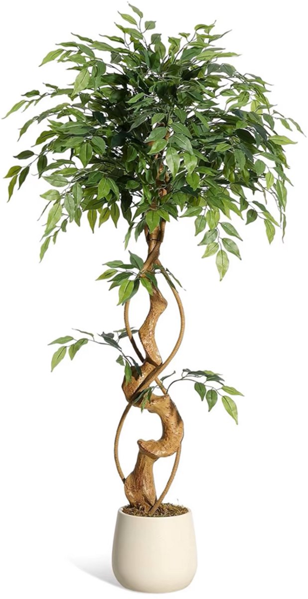 Stervia Kunstboom - Kunstmatige Ficusboom - Kunstplant - Met Witte Plantenbak - Voor Binnen en Buiten - 66 x 122 cm Groen
