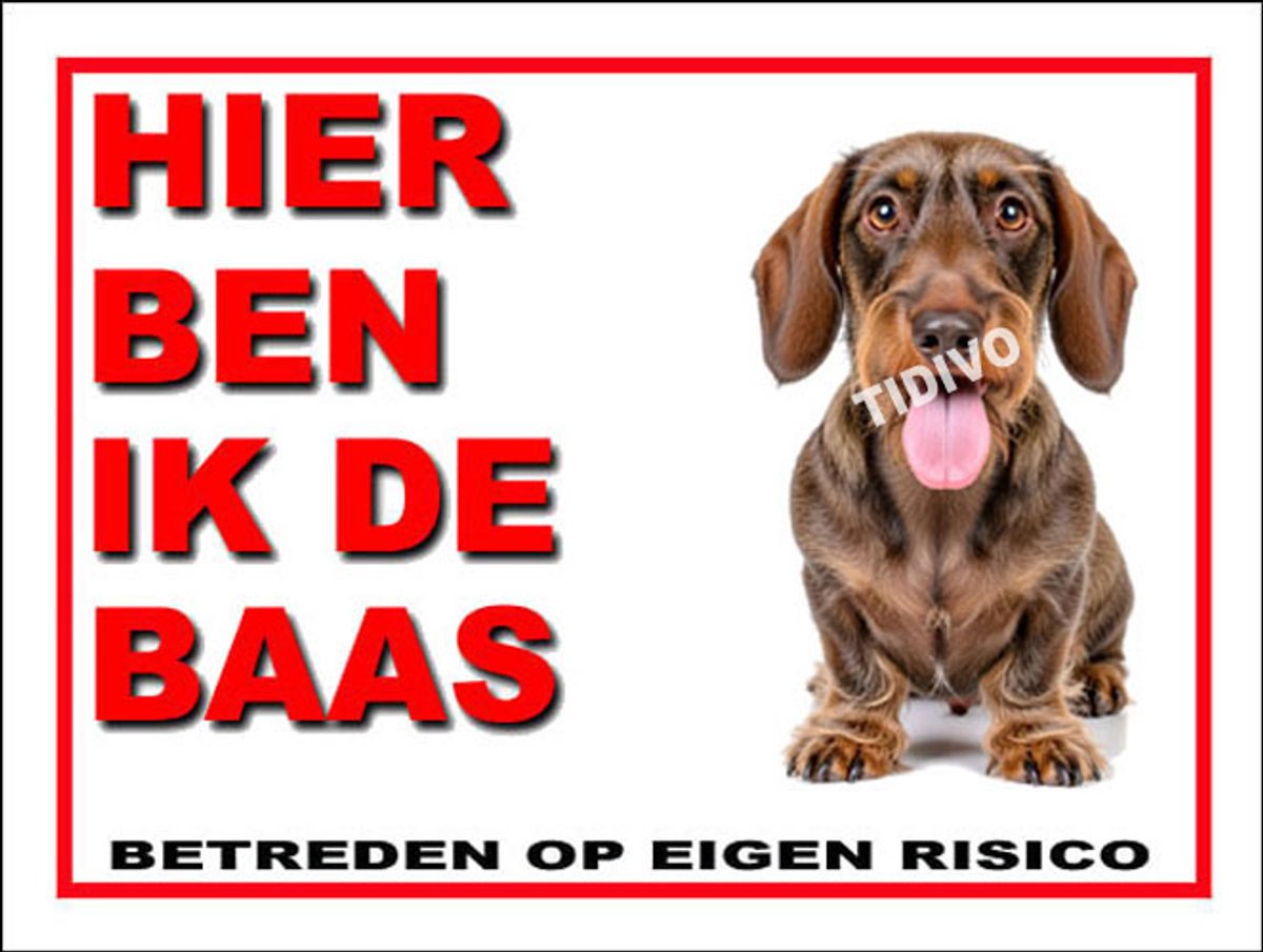 Dashond, Ruwhaar 2
