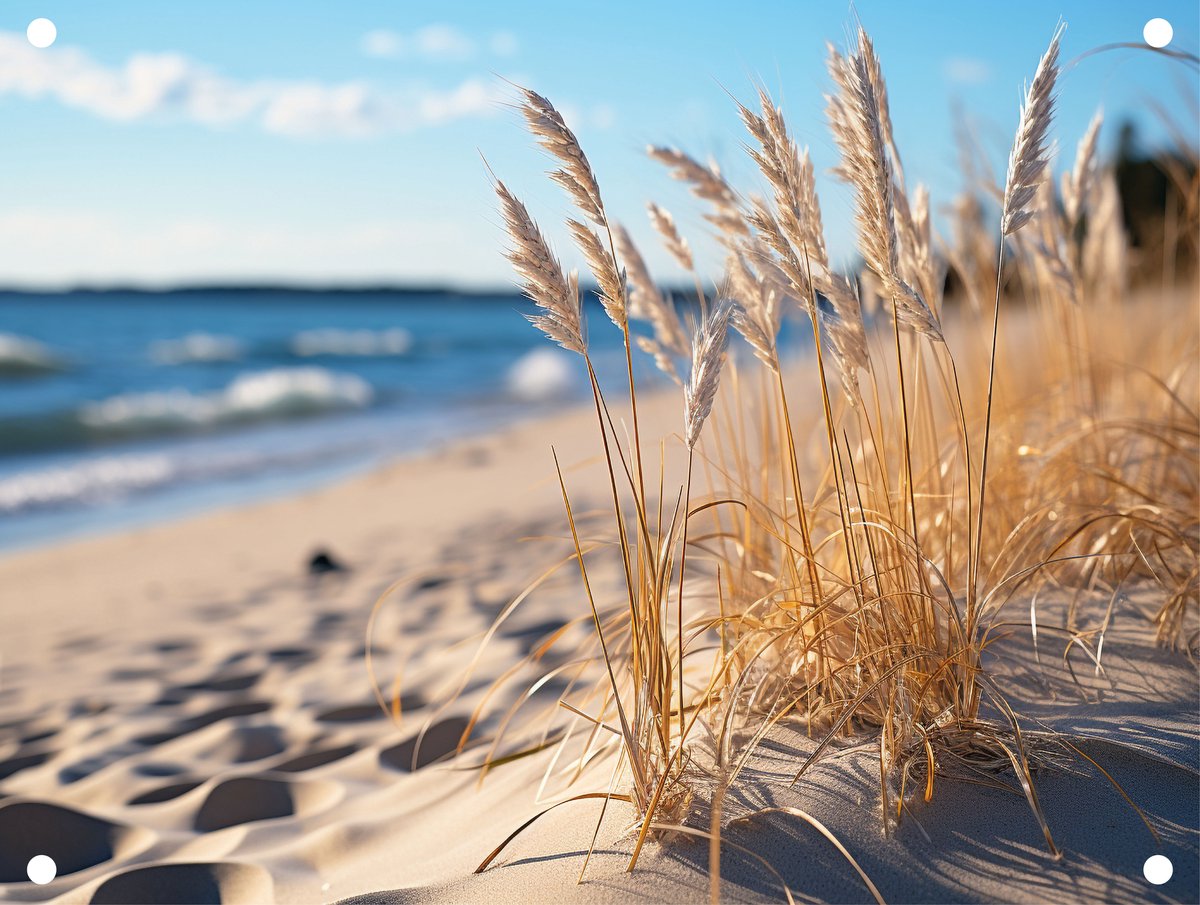 Tuinposter Strand 22 L