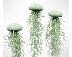 Set van 3 Jellyfish Luchtplantjes – Zachtgroene Alfonso Zee-Egels met Spaans Mos – Handgemaakte Hangende Decoratie – Inclusief Tillandsia – Trendyairplants/moederdag/kado voor mama/mamma/moederdagidee/kadotip/voor mamma/moederdagcadeau