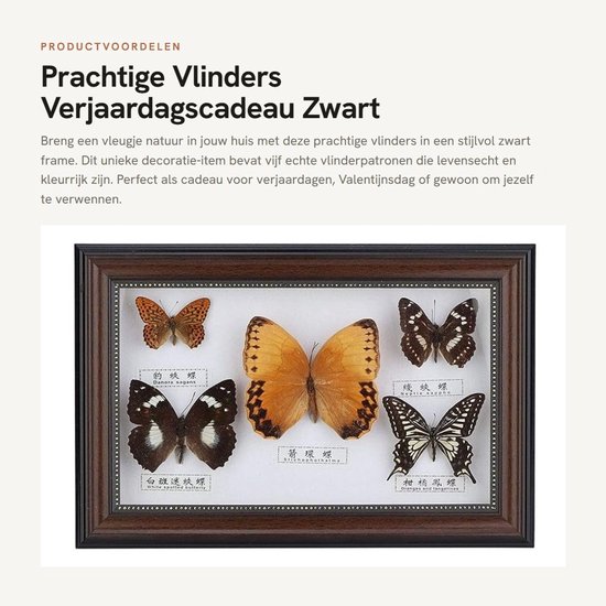 Dailygoods- Papiergewicht Decoratie - Vlinders Voorbeeld - Cadeau - Decoratie Woonkamer - Decoratie Slaapkamer - Zwart Frame - 5 Stuks