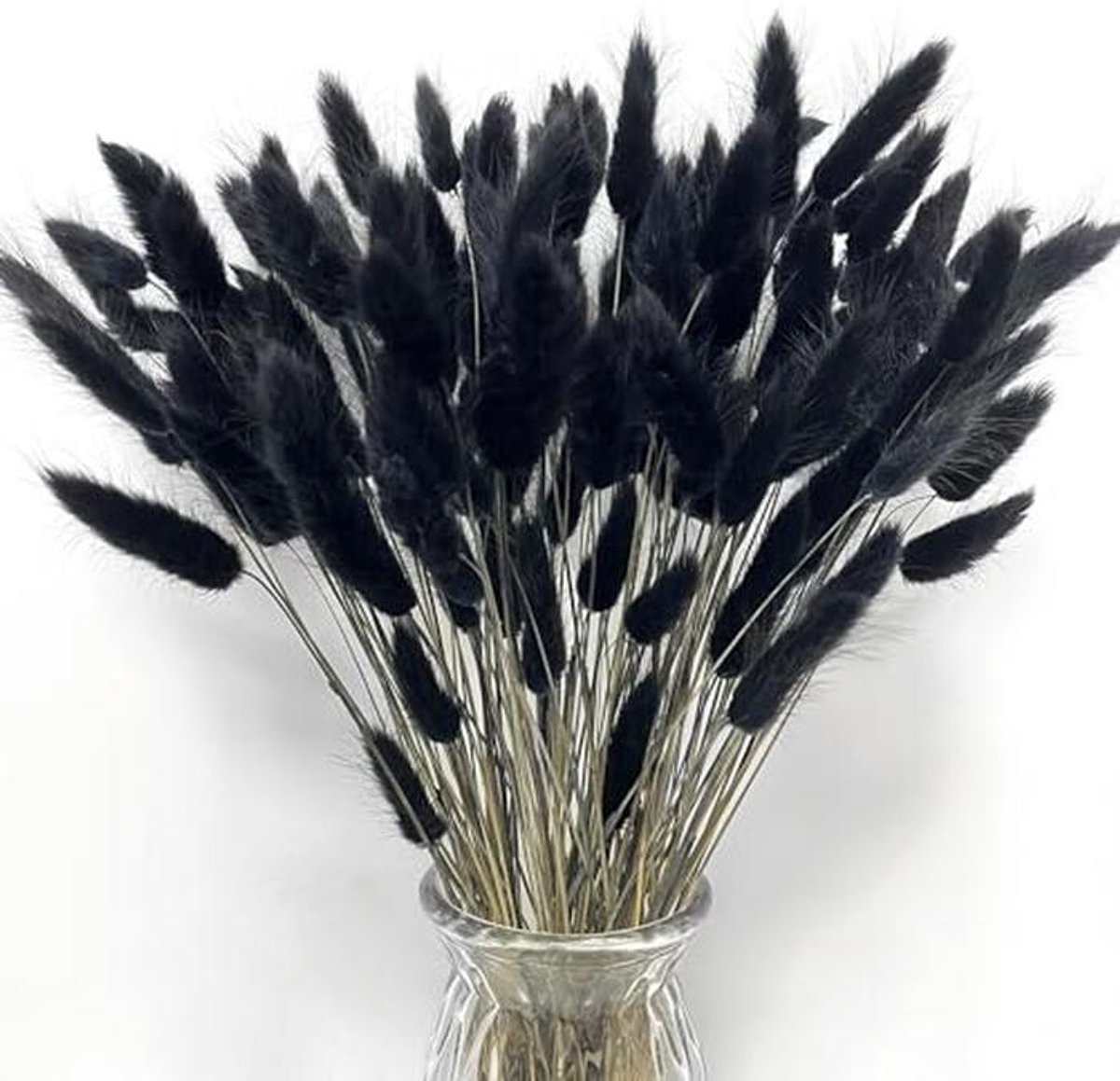Gedroogde Hazenstaarten - Droogboeket Gras - Boho Decoratie - Natuurlijke Materialen - 120 Stuks - Zwart
