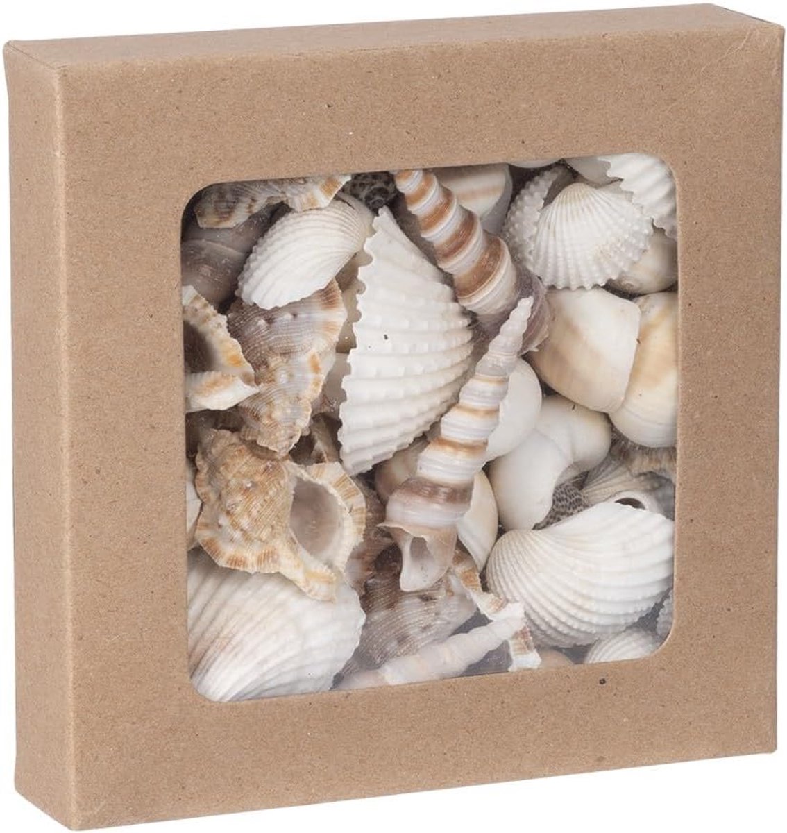 Zandbak Schelp - Decoratieve Schelpenmix - Natuurlijke Kleur - Hoogwaardige Kwaliteit - Geurloos - Voor Thuisdecoratie