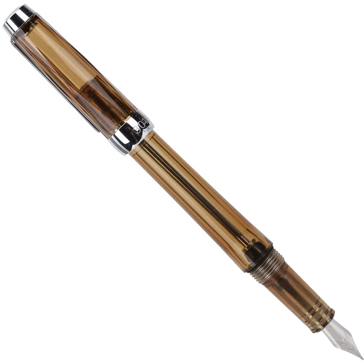 Dailygoods- Vulpen met Roestvrijstalen Punt van 0,5 Mm - Transparante Schrijfpen - Grote Capaciteit - Duurzaam Ontwerp - Negatieve Drukinkt - Precisieschrijfpen voor Kunstenaars