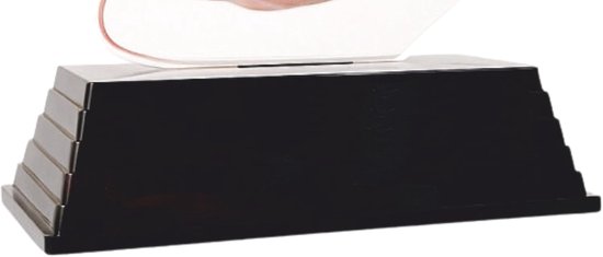 Vis Trofee - Meerval Prijs - Viswedstrijd Prijs - 3D Effect - 17 cm - Natuurlijke kleuren — afbeelding 5