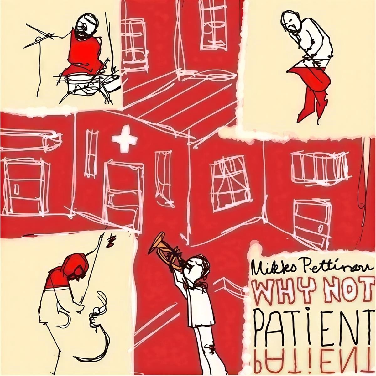 Mikko Pettinen Why Not - Patient Patient (CD)