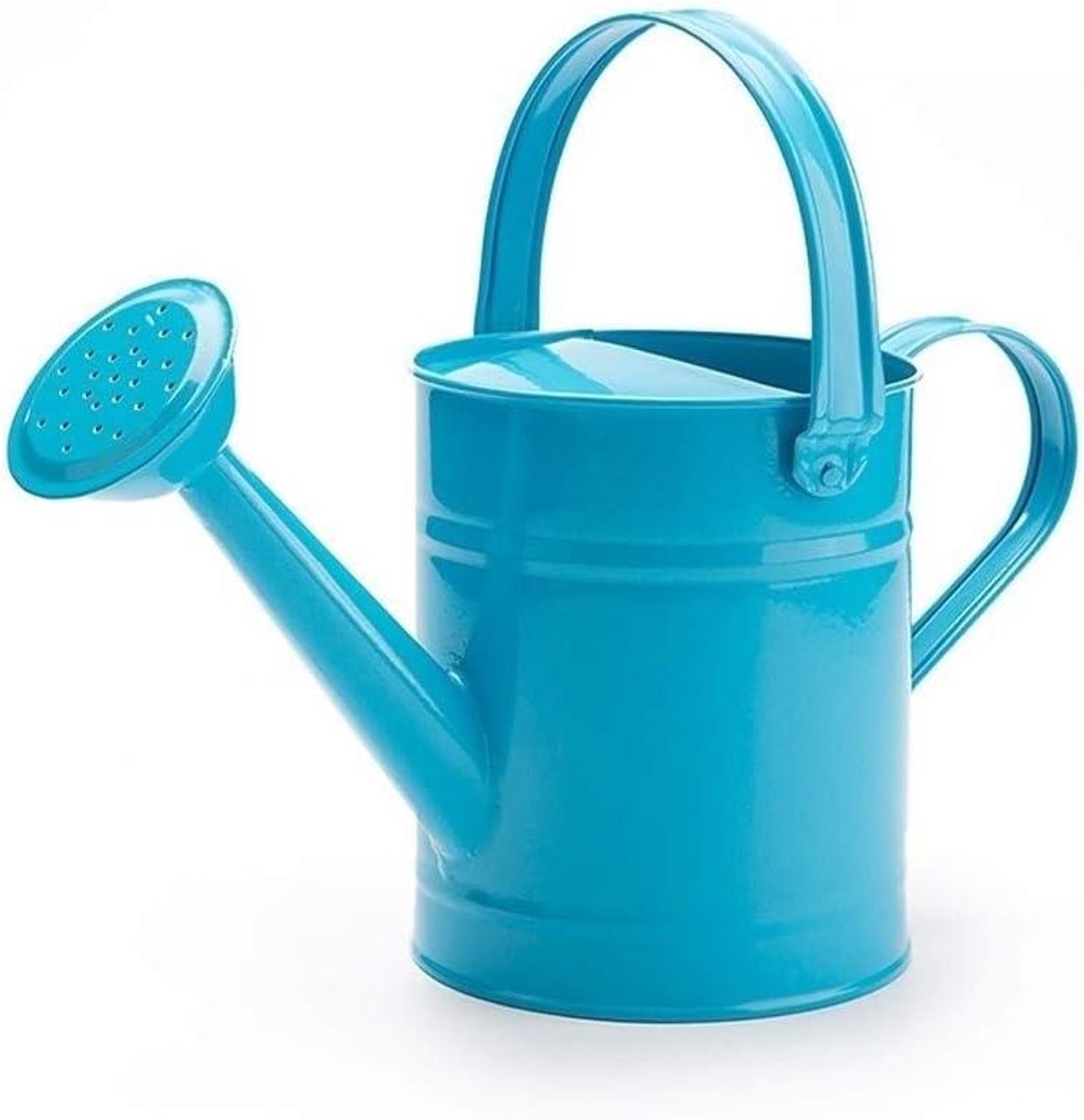 Kleine Gieter - Waterkan Planten - Planten Water Geven - Lichtgewicht Ontwerp - 1.5 Liter - Blauw