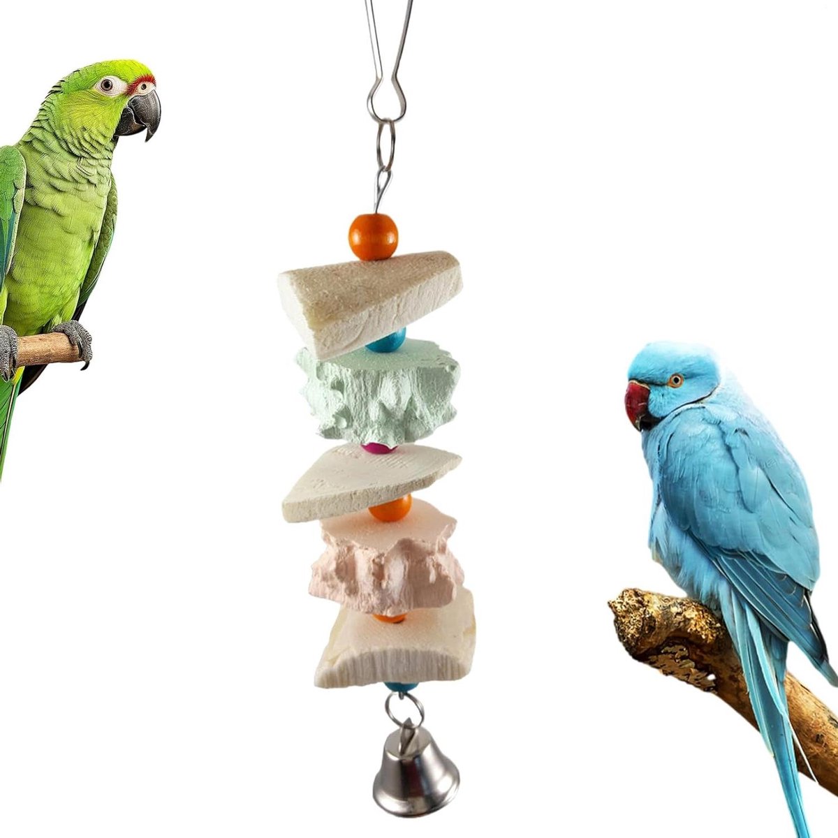 Sepiaschotel voor vogels - Natuurlijke schelp - Snavel onderhoud - Met bel en kralen - 20 cm lang - Natuurlijk