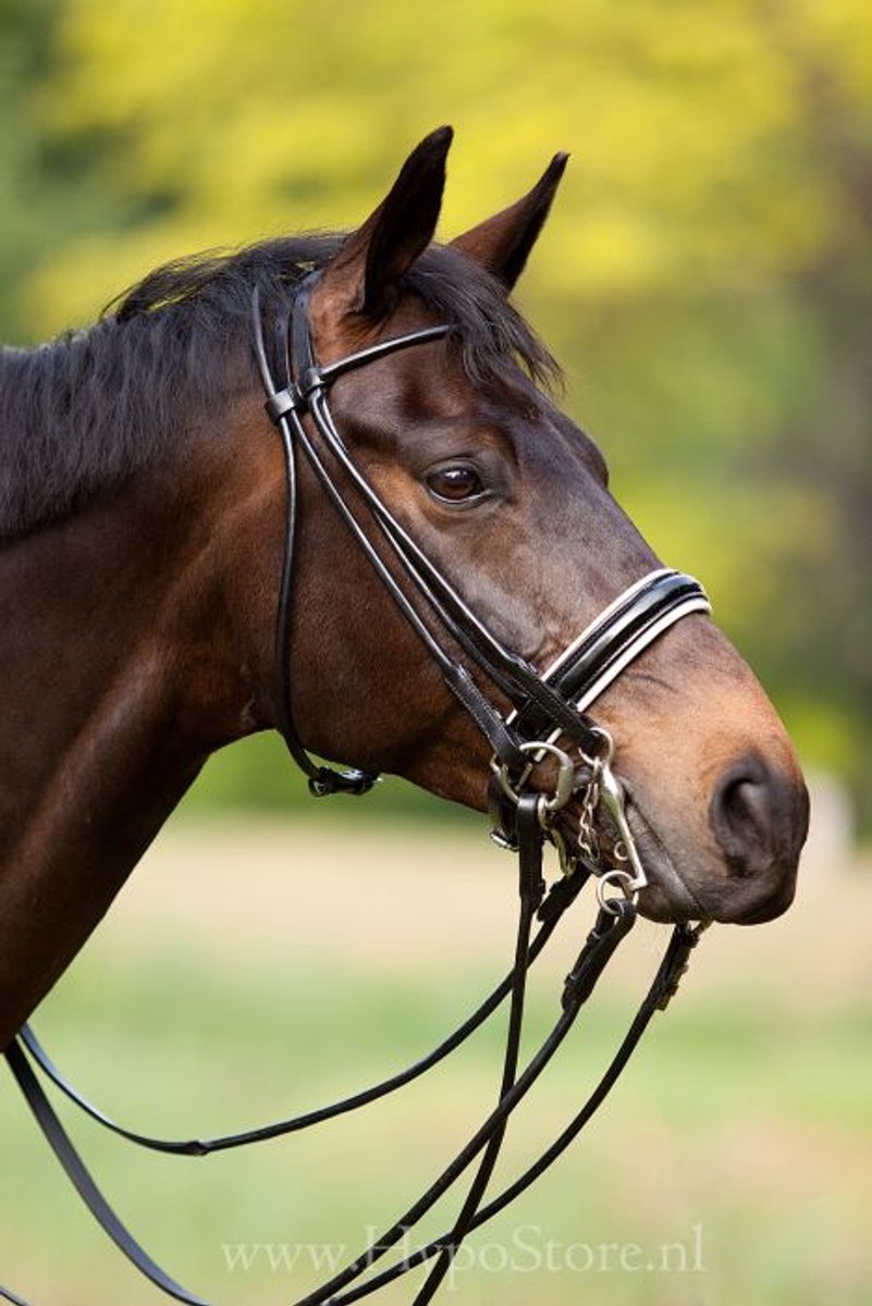 Premiera ''Rome'' Cognac Rondgenaaid Stang & Trens Hoofdstel met wit onderlegde lak neusriem - Full