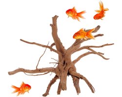 Aquarium Drijfhout - Decoratie Hout - Aquarium Inrichten - Unieke Natuurlijke Vormen - 10-15 cm - Bruin