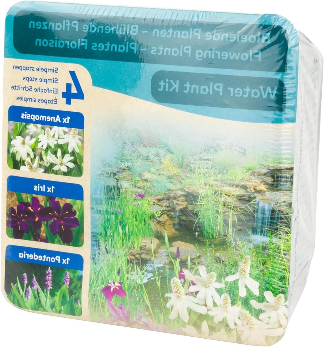 Waterplant Kit - Vijverbeplanting Compleet - Vijver Verfraaien - Inclusief Mand Grind - Tot 40cm Diep - Wit