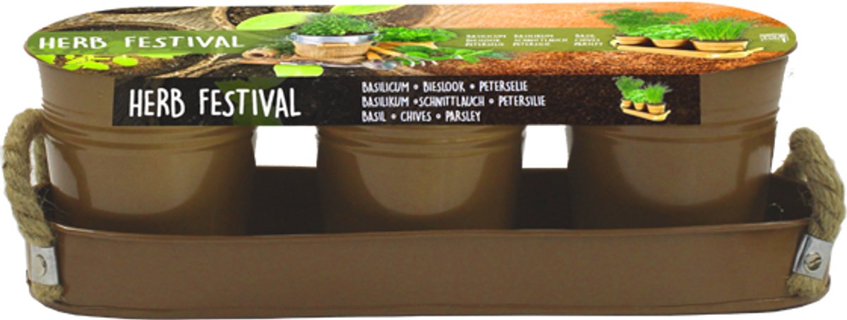 Herb Festival - 3 (Brons)