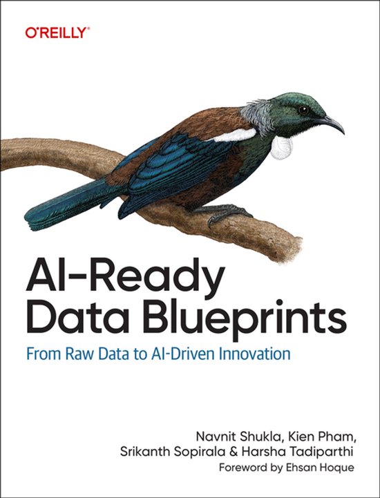 Ai-ready Data Blueprints - cover