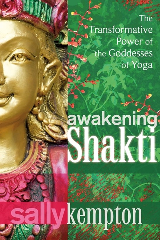Awakening Shakti - cover