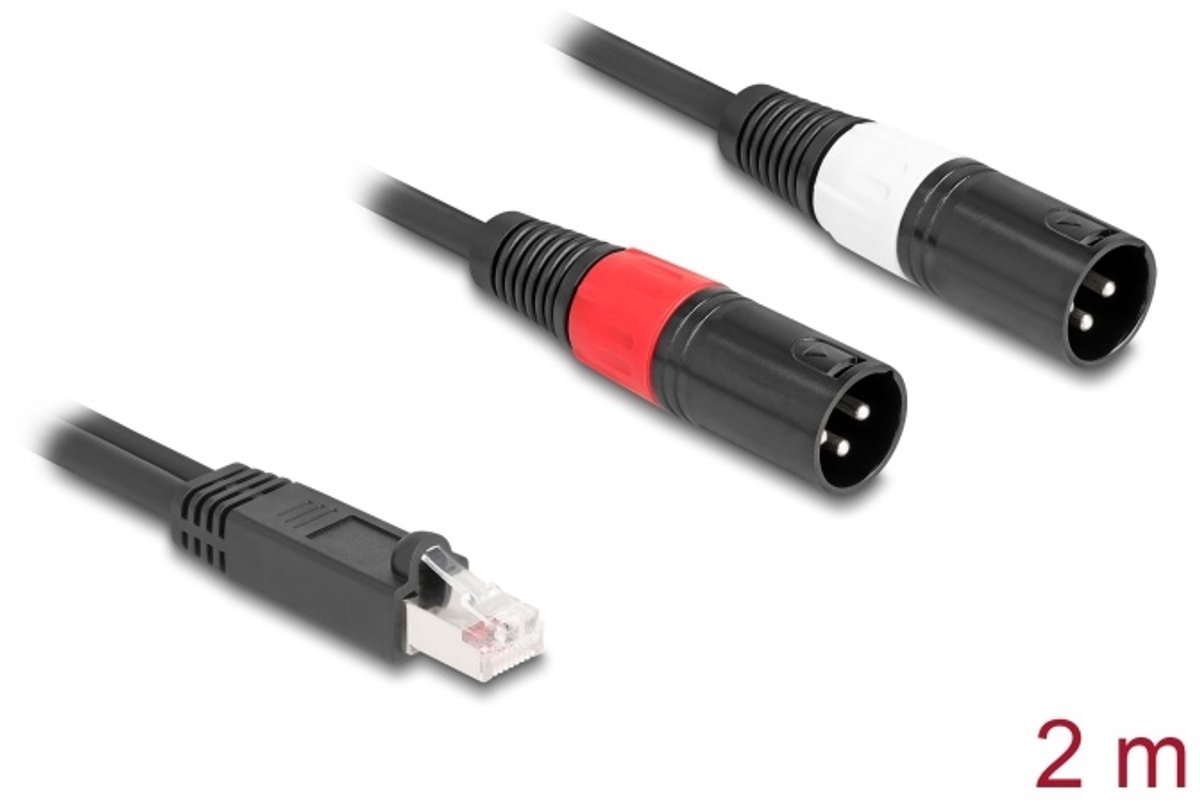 DeLOCK 88173 audio kabel 2 m RJ-45 2 x XLR (3-pin) Zwart