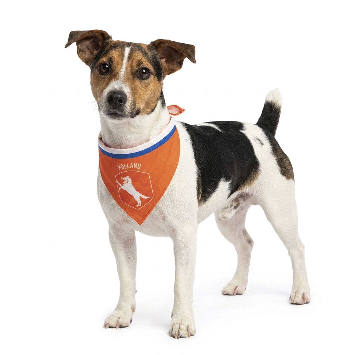 WK 2026 Oranje Bandana Hond S - Honden kleding - Dieren kostuum - WK Nederland