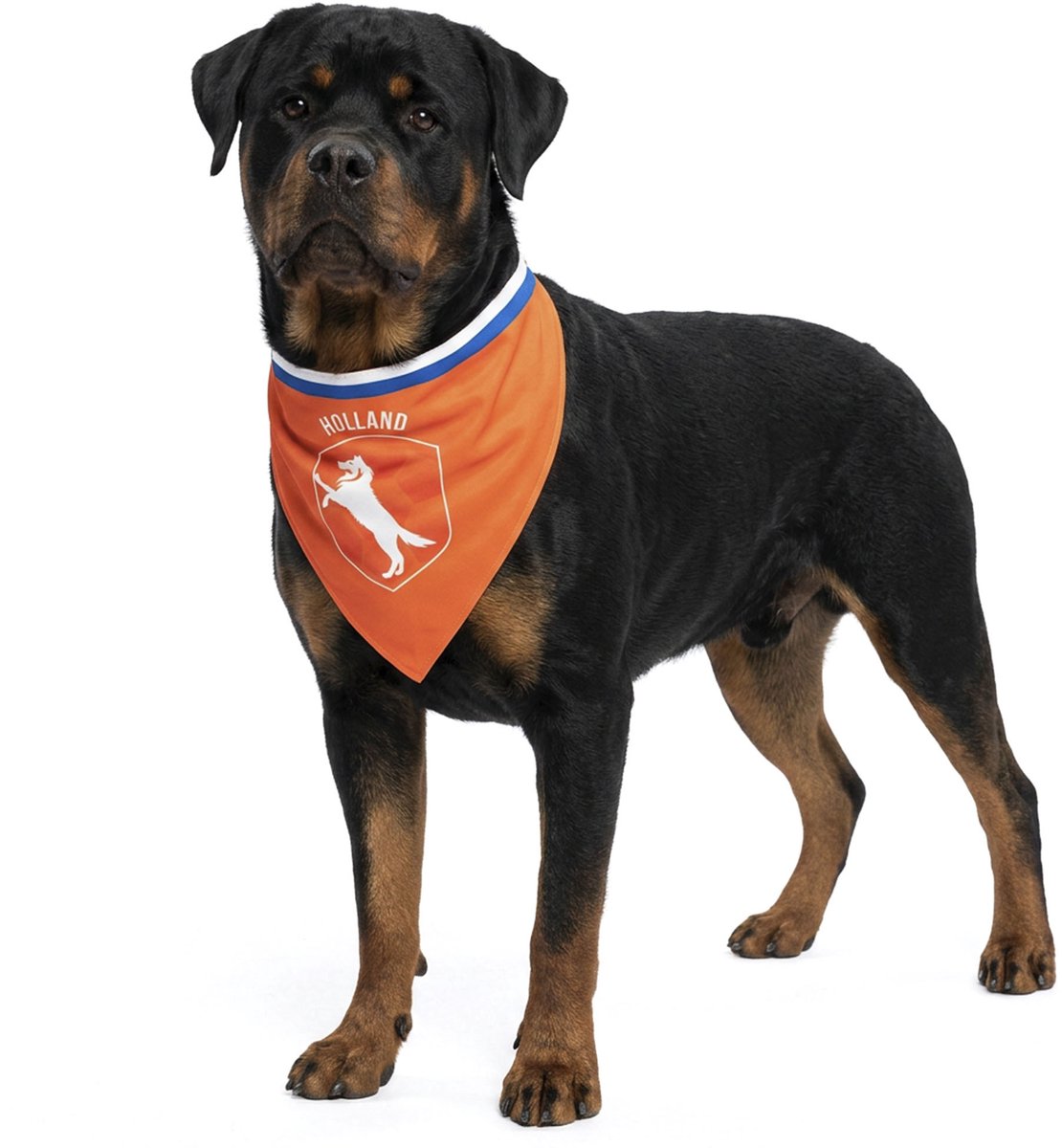 WK 2026 Oranje Bandana Hond L - Honden kleding - Dieren kostuum - WK Nederland