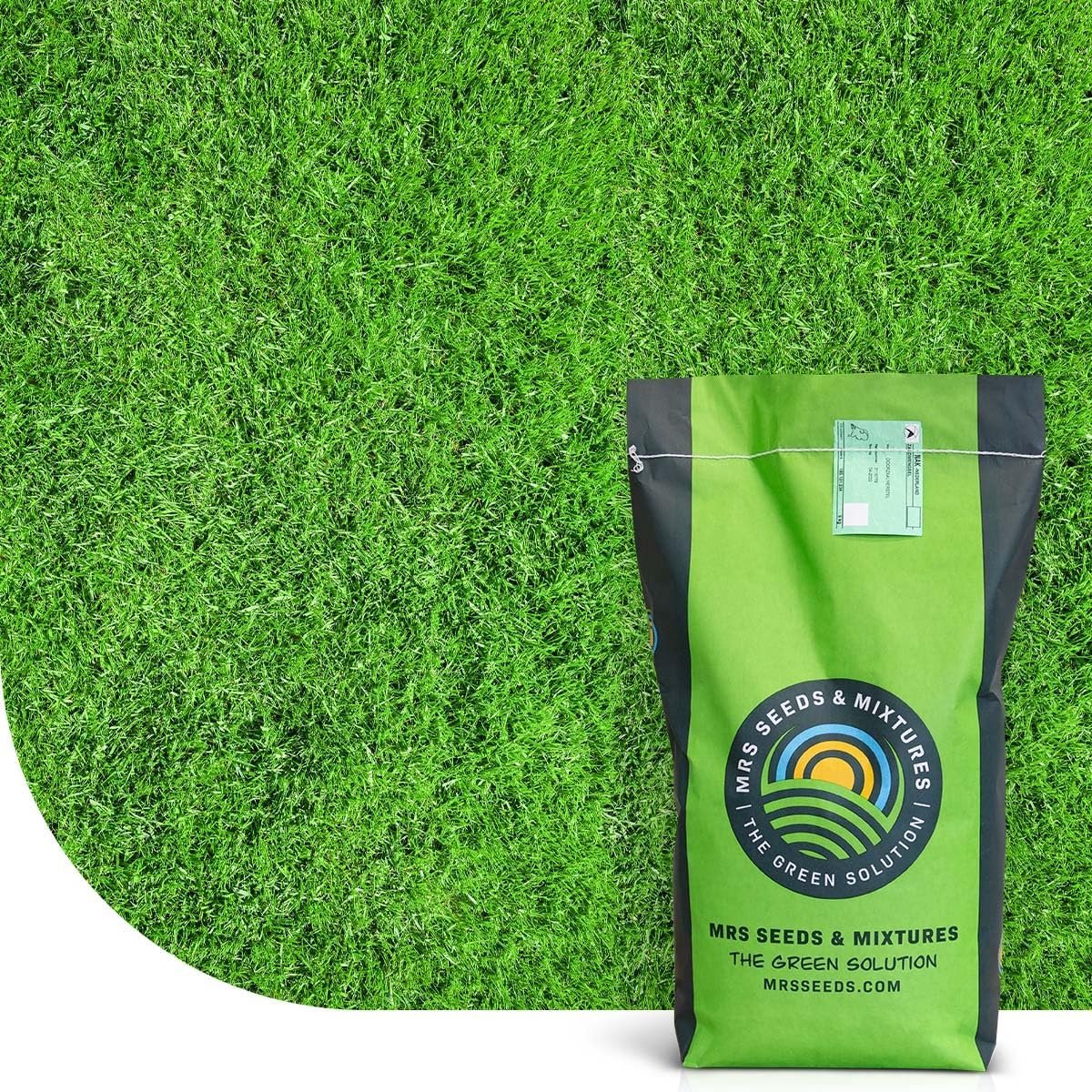 Graszaad Mengsel - Sportveld Gras - Gazon Herstellen - Snelkiemend Bestand - 2 kg - Groen