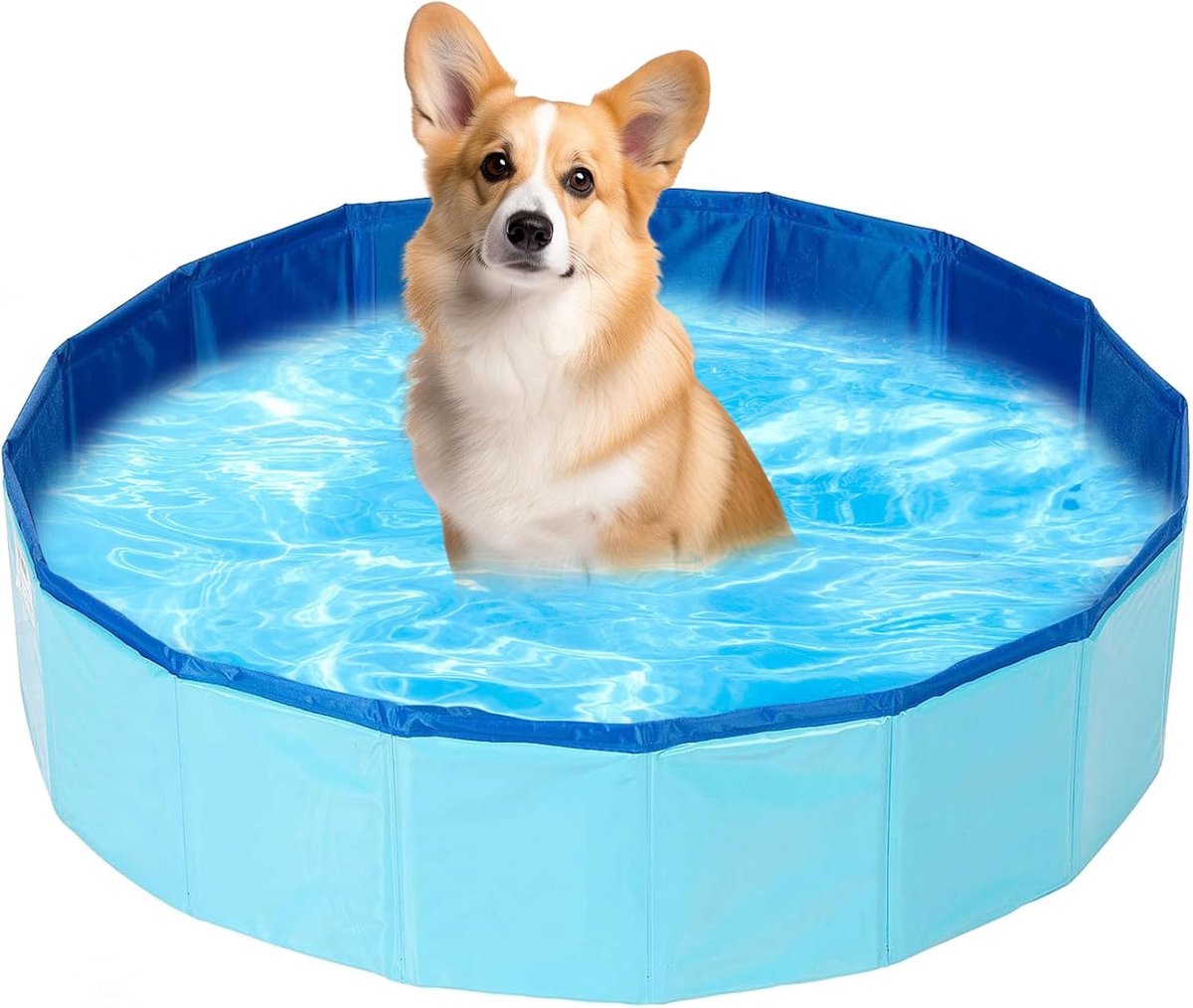 Zwem- en Paddling Pool voor Honden en Katten - Vouwbare Mini Pool - Draagbare Zwembad (50 x 10 cm)