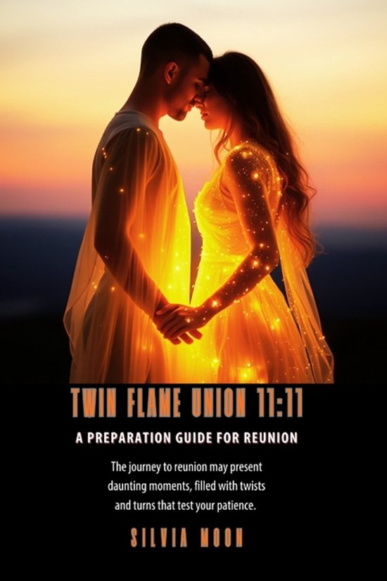 Twin Flame Union- Twin Flame Union 11 - cover