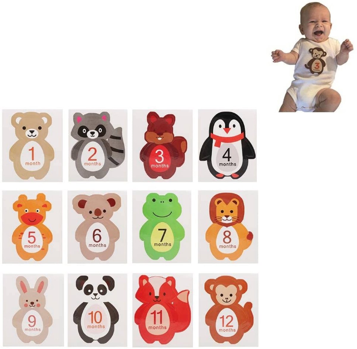 Dailygoods- Maandstickers 12 Stuks - Maandsticker Set - Baby Fototoebehoren - Leuke Dieren - Gemakkelijk te Gebruiken - Papier 13x11,5 cm - Babylabels