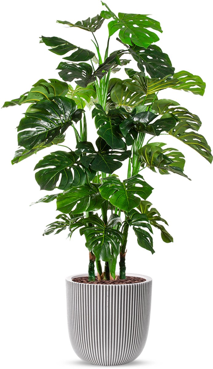 HTT Decorations Kunstplant Monstera XL in Planter Ball groove ivoor H155 cm