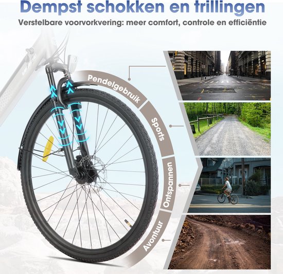 LAMASSU Elektrische Fiets - 700*38C - 250W Motor - 60 km Actieradius -Shimano 7 Versnellingen - Aluminium Frame - Unisex - Grijs — afbeelding 5