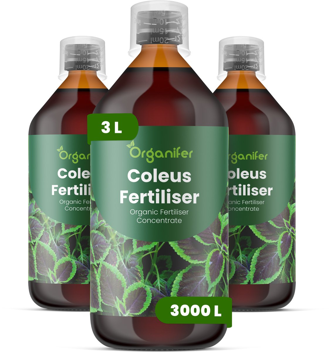 Vloeibare Meststof Voor Coleus 3X1 L Voor 3000 L - Npk 3-4-3 - Krachtige Groei - Bladkleurintensiteit - Sterke Wortels - Weerbaarheid - Bladontwikkeling - Bladvernieuwin - Weelderige Planten - Organifer