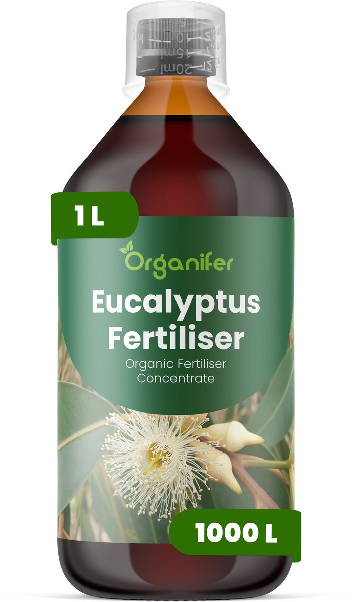 Vloeibare Meststof Voor Eucalyptus - 1 L Voor 1000 L - Npk 3-4-3 - Krachtige Groei - Sterke Wortels - Droogteresistentie - Scheutontwikkeling - Bladkleurintensiteit - Hittebestendig - Windbestendig - Aromatische Bladkwaliteit - Organifer