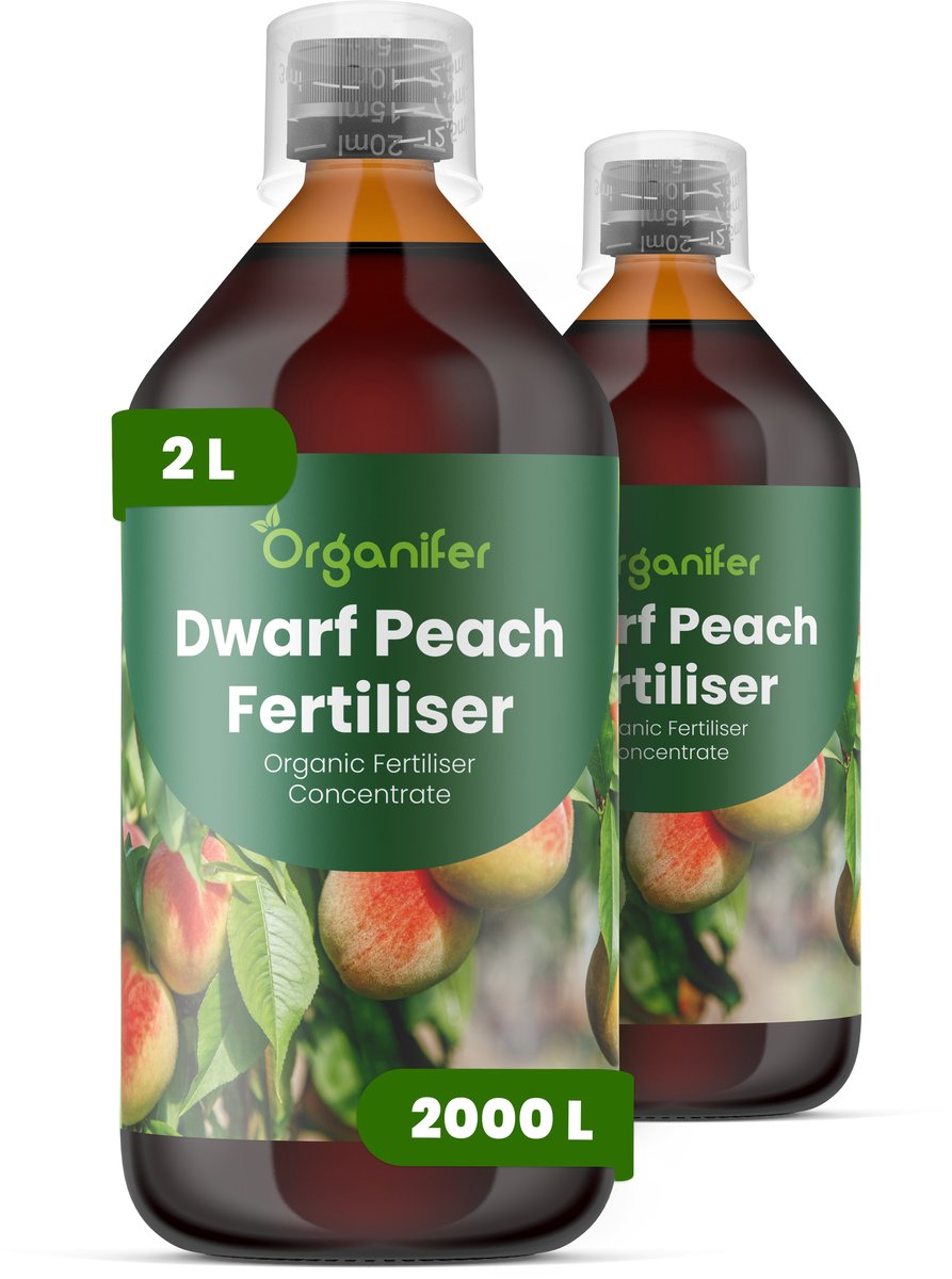 Vloeibare Meststof Voor Dwergperzik 2X1 L Voor 2000 L - Npk 2-1-8 - Wortelontwikkeling - Rijke Bloei - Volwaardige Vruchten - Vruchtstevigheid - Zoetheid - Hoog Kaliumgehalte - Sterke Takstructuur - Helpt Voeding Gebreken - Organifer