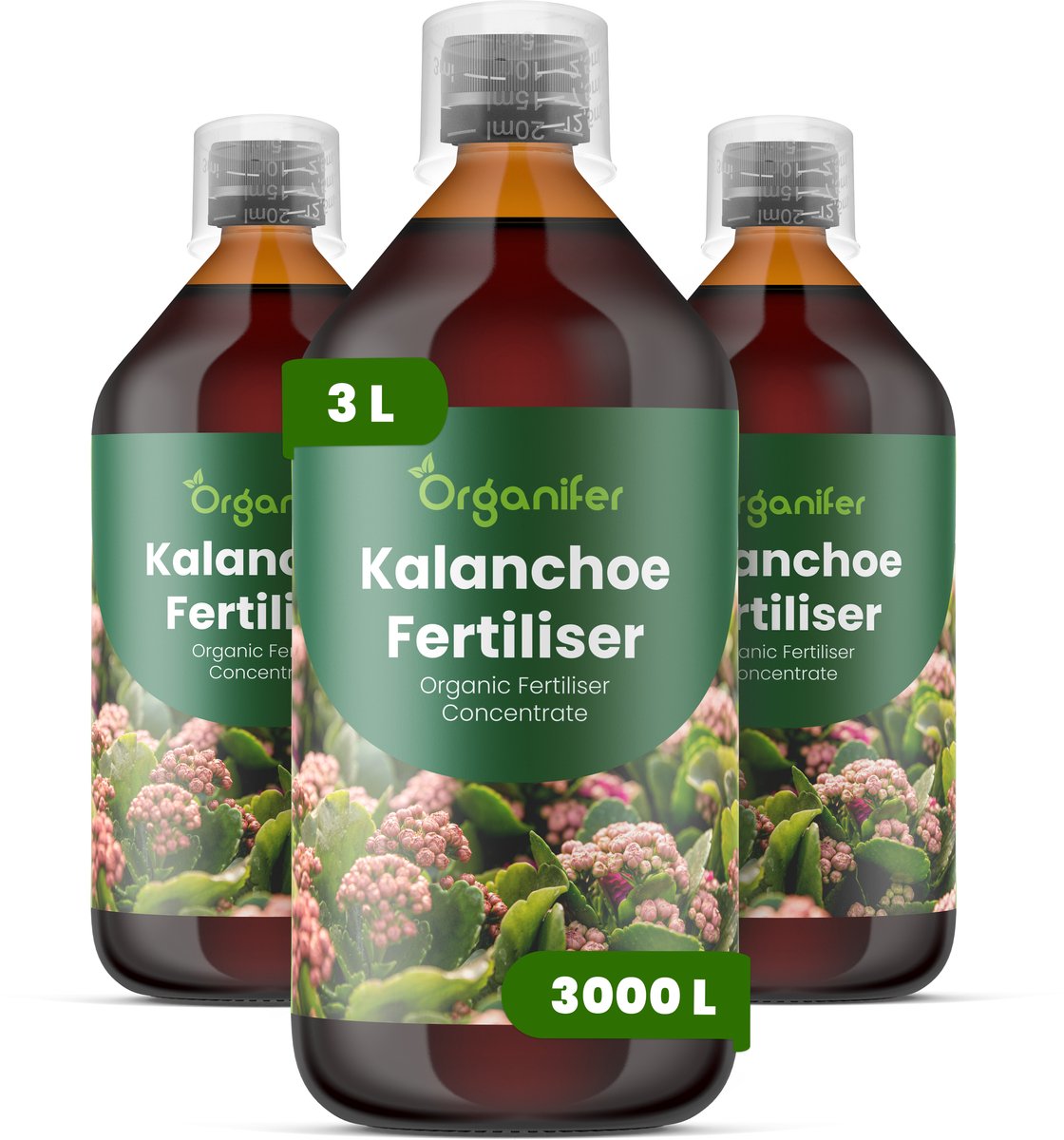 Vloeibare Meststof Voor Kalanchoe 3X1 L Voor 3000 L - Npk 2-1-8 - Compacte Groei - Langdurige Bloei - Sterke Stelen - Wortelvitaliteit - Bladstevigheid - Kleurintensiteit - Bloemkwaliteit - Vetplanten - Organifer