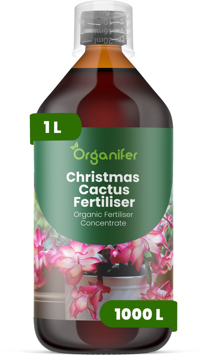 Vloeibare Meststof Voor Kerstcactus 1 L Voor 1000 L - Npk 2-1-8 - Knopvorming - Rijke Winterbloei - Sterk Wortelstelsel - Stevige Gesegmenteerde Stengels - Kleu - Vitaliteit - Langdurige Bloei - Gelijkmatige Groei - Organifer