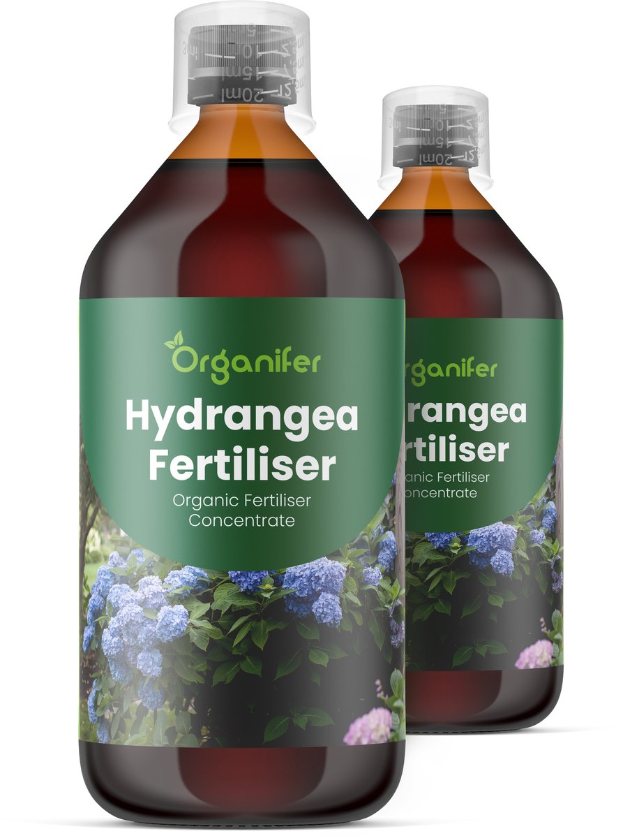 Vloeibare Meststof Voor Hortensia 2X1 L Voor 2000 L - Npk 2-1-8 - Knopvorming - Meer Bloemen - Sterke Bloemstructuur - Langdurige Bloei - Sterk Wortelstelsel - Stressbestendig - Rijke Bladkleur- Seizoensvitaliteit - Evenwichtige Groei - Organifer